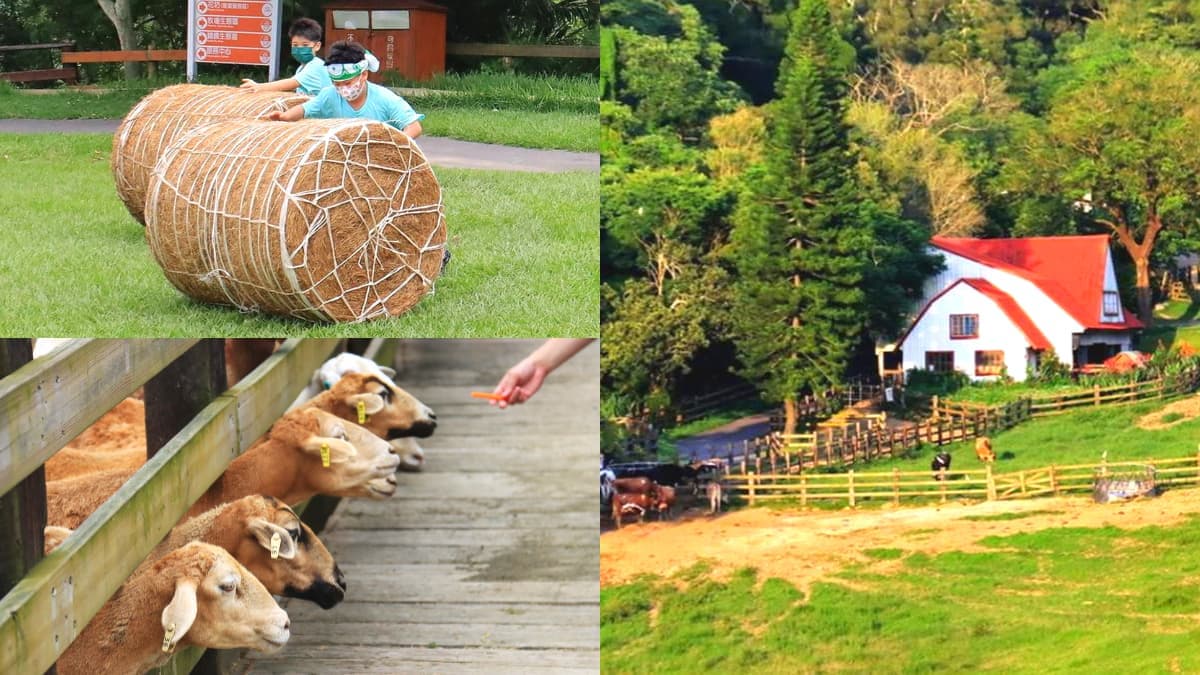 如置身歐洲鄉村！120公頃「親子牧場」10元體驗餵牛，獨木橋、牧草圈玩到斷電