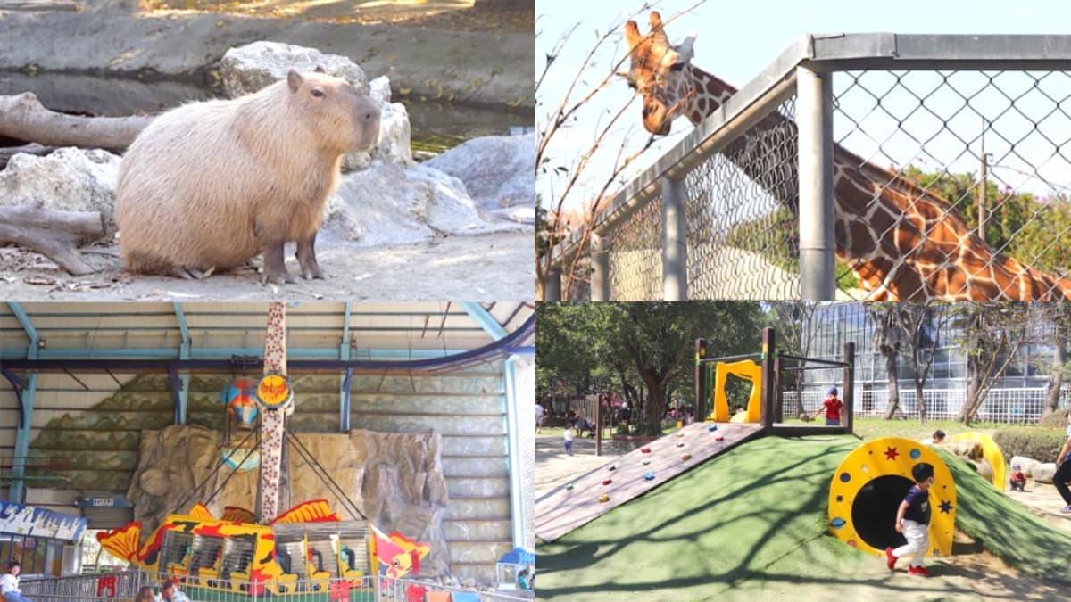 南台灣最大動物園！零距離餵水豚君、看孔雀開屏，免費樂園設施玩到不想走