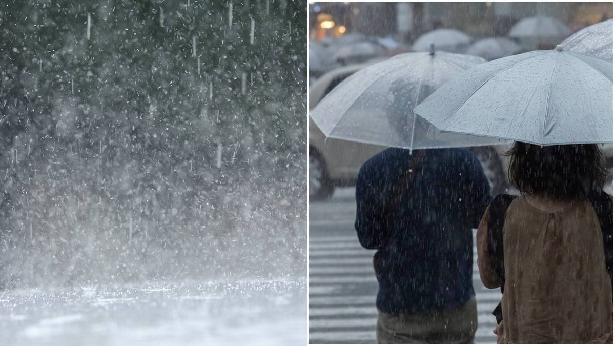梅雨鋒面報到！低溫下探19度、雨彈連轟５天，這週天氣一次看