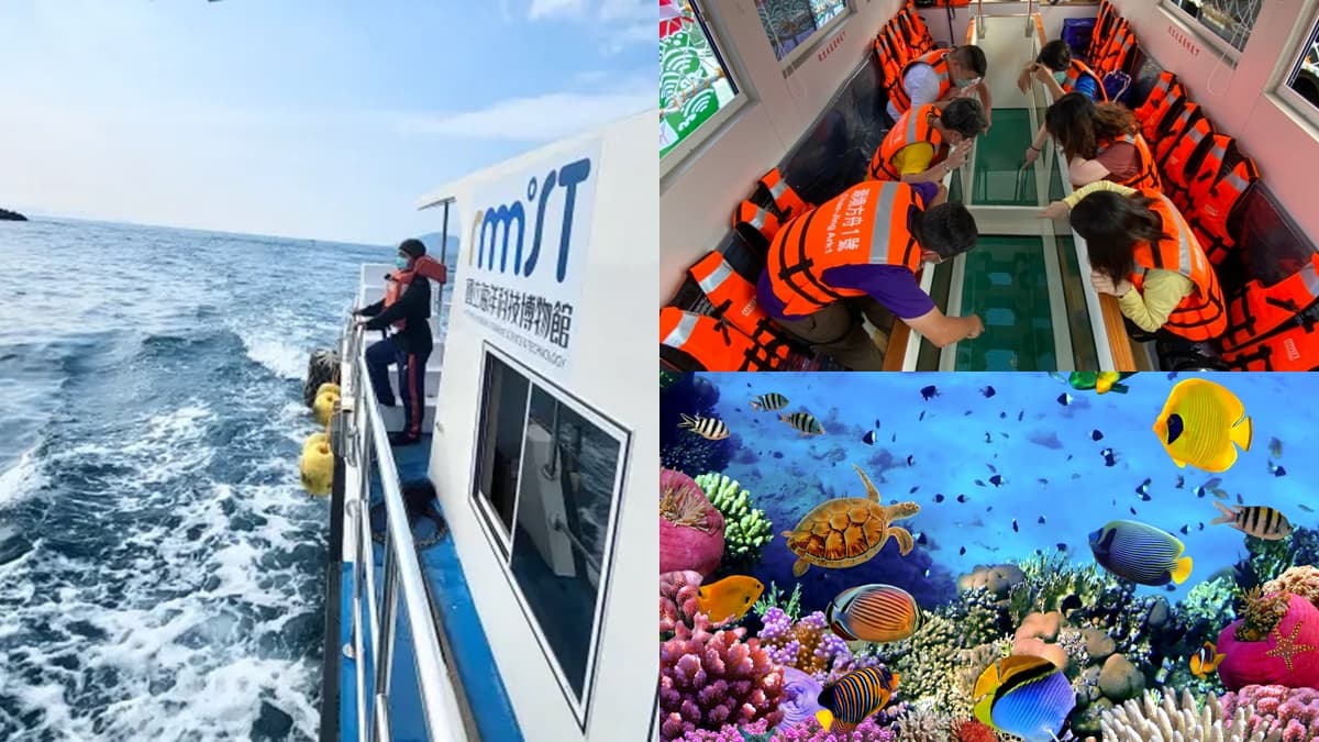 北部航線新玩法！體驗海上「玻璃觀景窗」賞魚群，航次、票價一次看