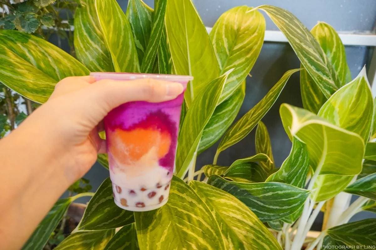 全台獨創「水果珍奶」！「漸層系手搖飲」洗版IG，火龍果＋初鹿鮮奶一喝上癮