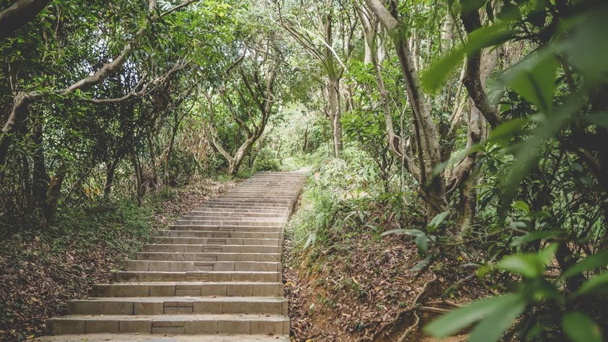 劍潭山親山步道大多舖設完善的石板階和石板步道，有部分為泥土山徑。（圖片來源：是艾思，不是火拳）