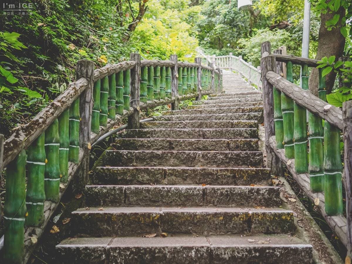 搭捷運就能到！淡水線７條新手輕鬆爬步道：台版嵐山、七彩梯田、遠眺101