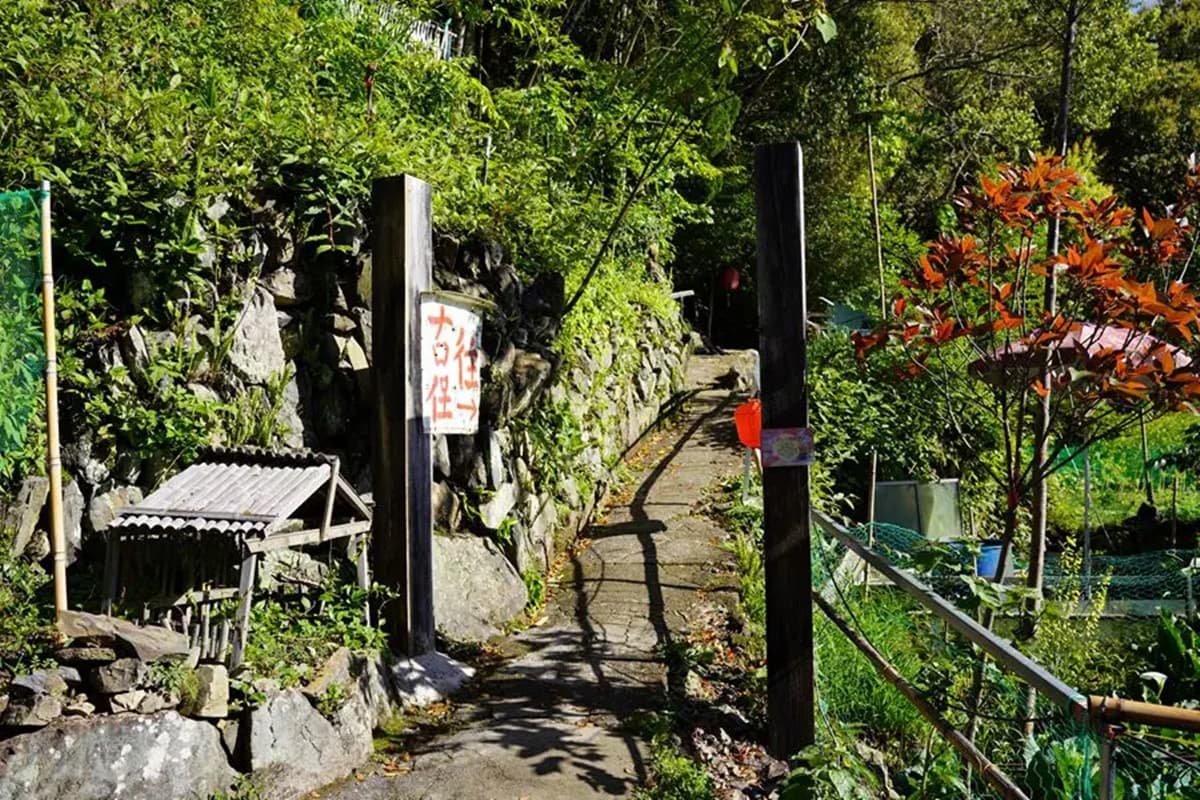 你敢朝聖嗎？最恐怖台片《咒》拍攝地在這，打卡邪教修練場景、明星山羊