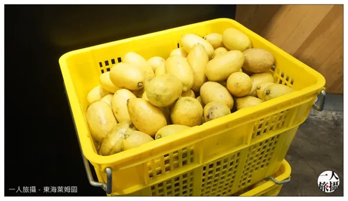 不只手搖飲！天母市集旁「新鮮萊姆汁」消暑必喝，搭鳳梨丁酸甜沁涼超爽口