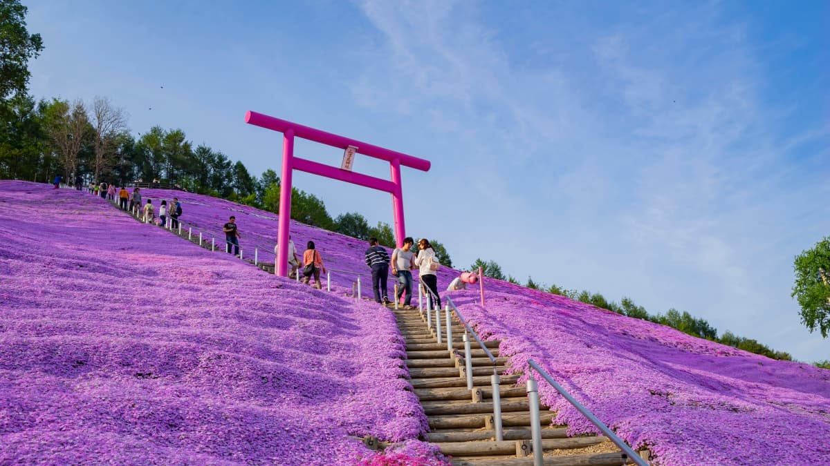 衝日本花日幣了!虎航9月開航北海道新點,最低僅3399元開搶 衝日本花日幣了!虎航9月開航北海道新點,最低僅3399元開搶