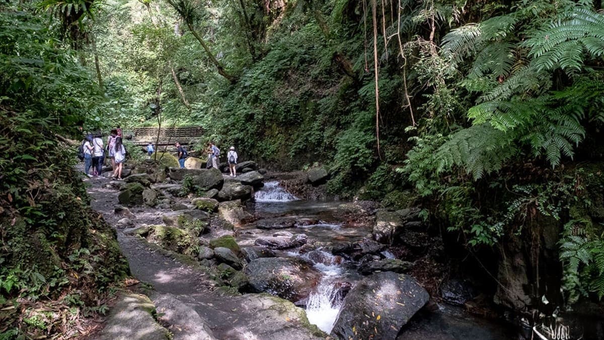 在步道途中也能碰上溪流，在比較淺的水域，可以踏踏水涼快一下。（圖片來源：桃桃‘s旅人手札）