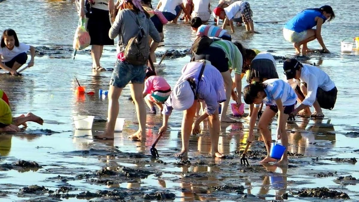 免費「摸蛤仔」回歸了！超夯台南「2022七股海鮮節」，活動日期、場次一次看