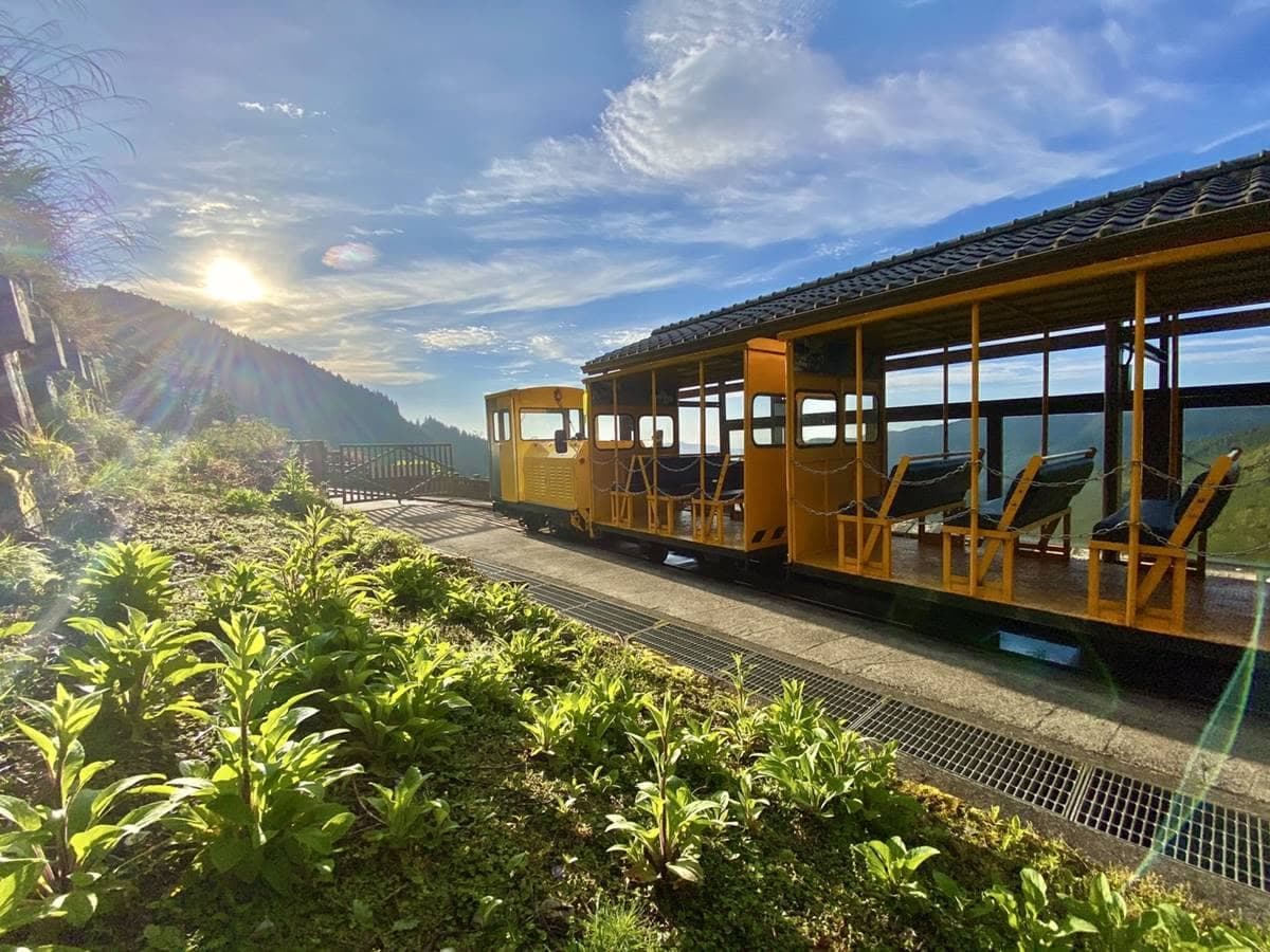 提早凌晨4點開園!暑假避暑衝「太平山森林遊樂區」,賞日出美景、搭蹦蹦車 提早凌晨4點開園!暑假避暑衝「太平山森林遊樂區」,賞日出美景、搭蹦蹦車
