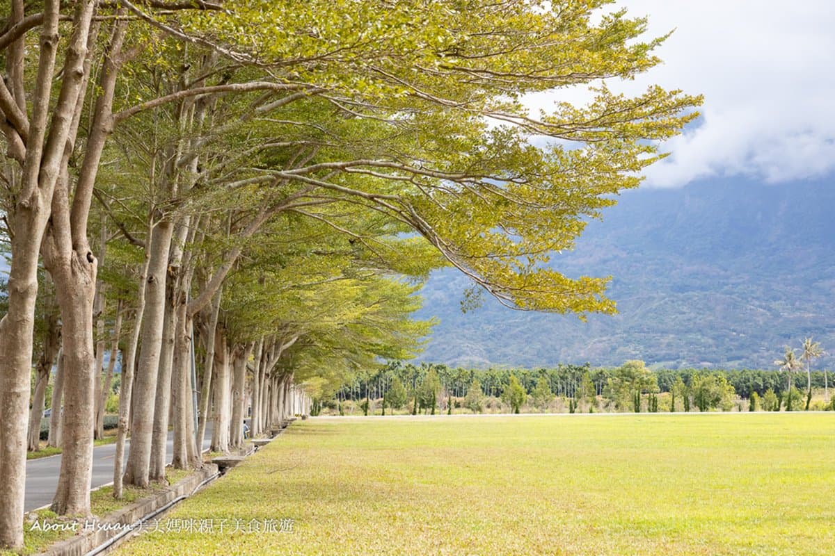 看熱氣球順踩點！鹿野１日遊５亮點：祕境隧道、台東最強冰棒、湧泉消暑天堂