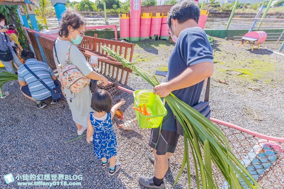 不只有梅花鹿、水豚！宜蘭５家特色親子農場：體驗餵鴨鴨、１日蔥農、荒野造景