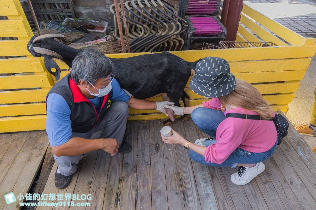 不只有梅花鹿、水豚！宜蘭５家特色親子農場：體驗餵鴨鴨、１日蔥農、荒野造景