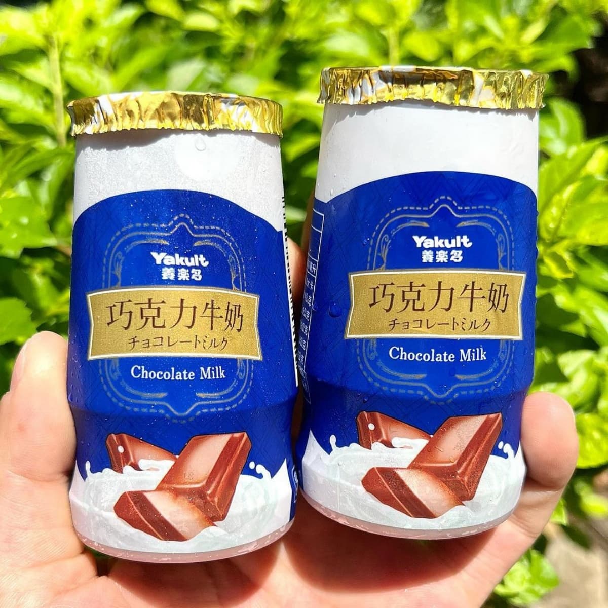呼叫六、七年級生！全聯新品「養樂多巧克力牛奶」上架，１瓶16元有找