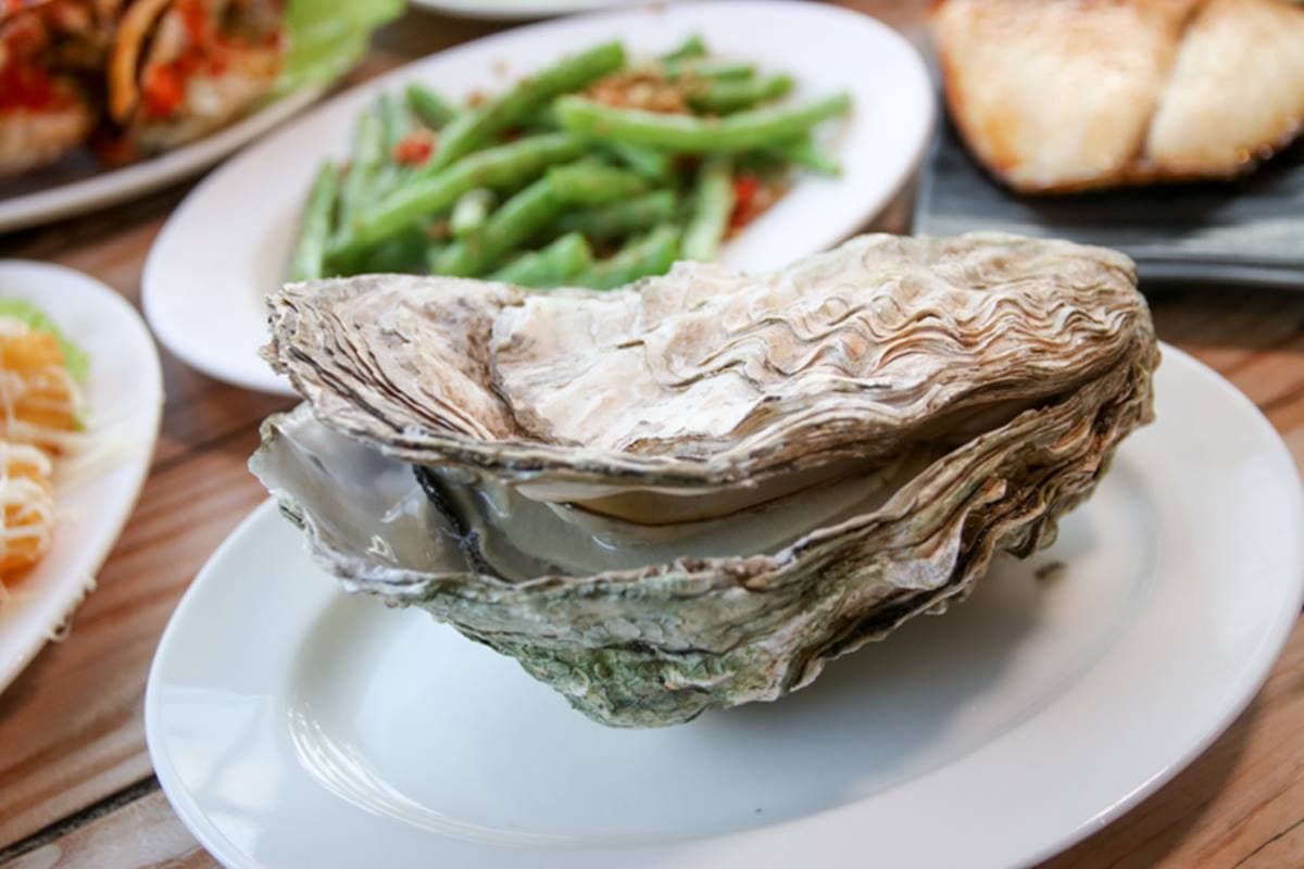 痛風到不行！爆量「鮭魚卵＋蚵仔飯」滿滿海味，巨無霸生蠔吃１顆就會飽