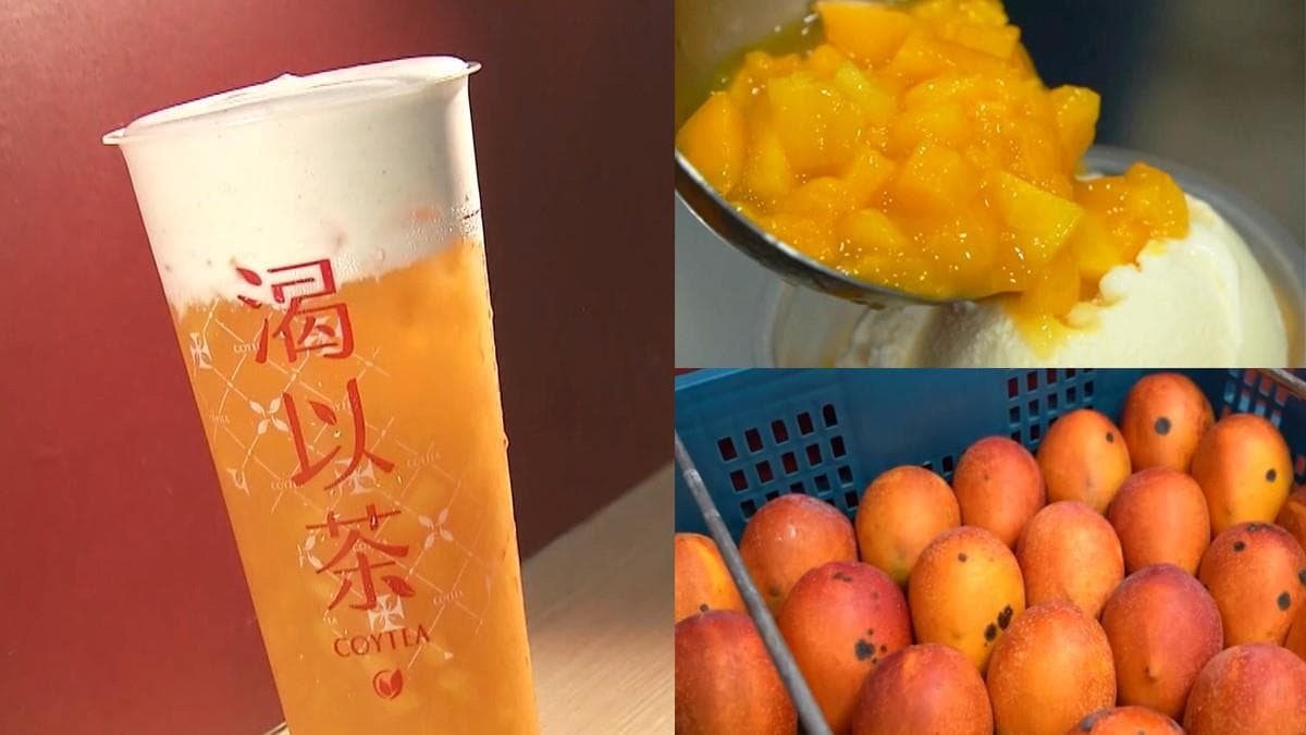 一整天人潮沒斷過！台中人氣手搖飲推「鮮切芒果系飲品」，每口都是香甜的芒果果肉