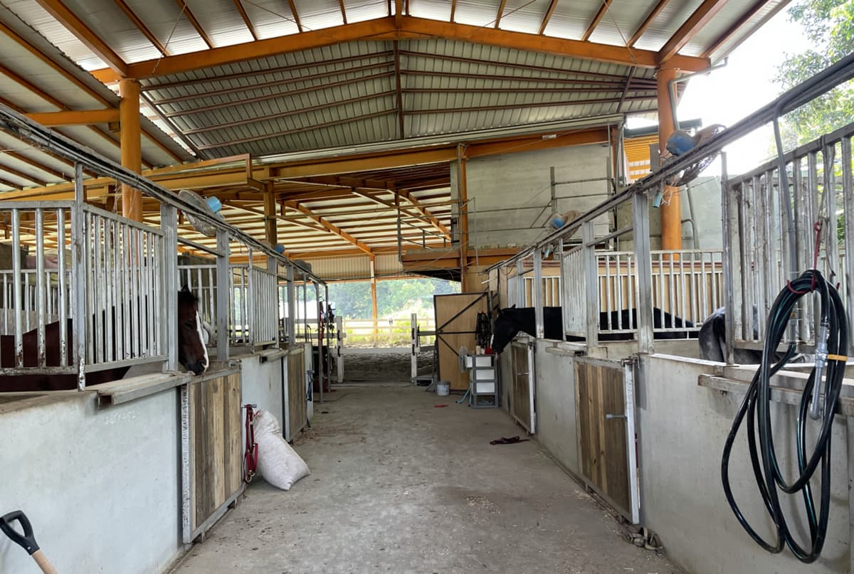免門票「小型動物園」!近距離餵食迷你馬、羊駝,加碼小朋友最愛騎馬體驗 免門票「小型動物園」!近距離餵食迷你馬、羊駝,加碼小朋友最愛騎馬體驗