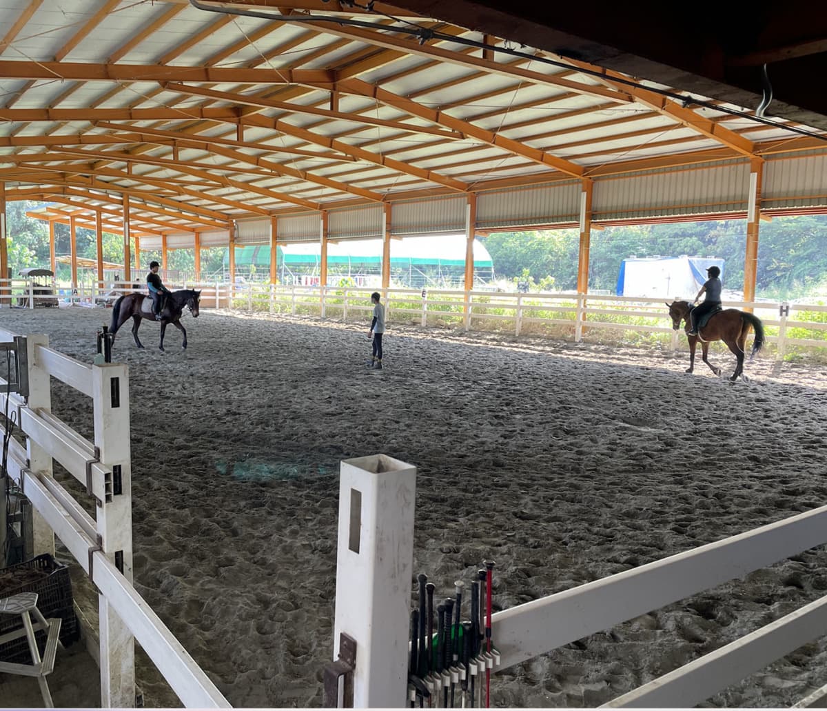 免門票「小型動物園」!近距離餵食迷你馬、羊駝,加碼小朋友最愛騎馬體驗 免門票「小型動物園」!近距離餵食迷你馬、羊駝,加碼小朋友最愛騎馬體驗