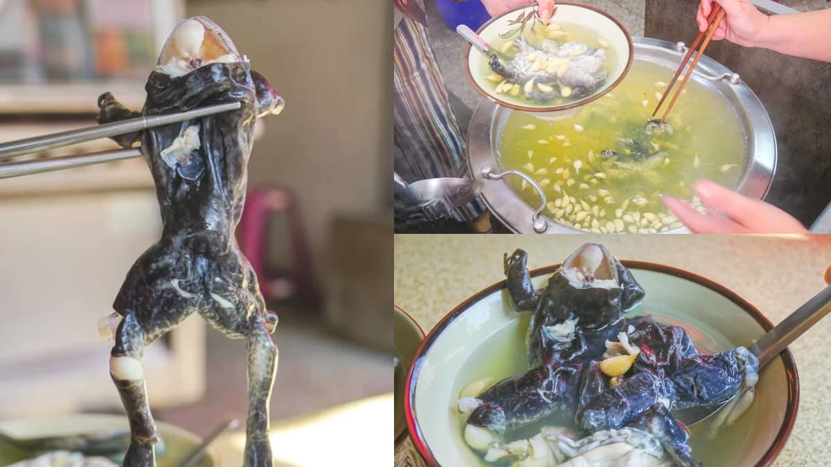 高雄最強「蒜頭田雞湯」敢挑戰？整鍋蒜頭＋青蛙超狂，50年獵奇補湯老饕激推
