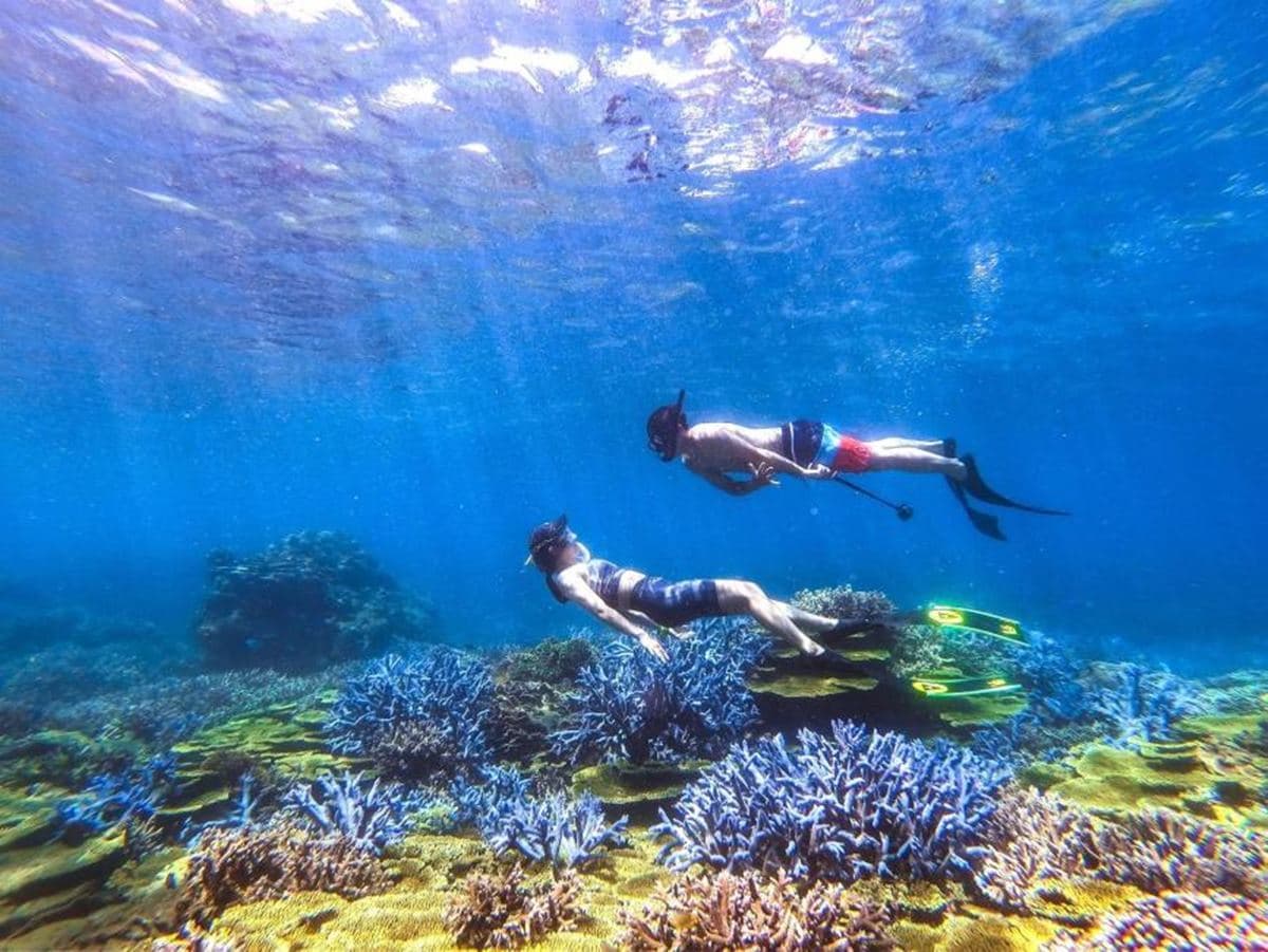 快設鬧鐘搶訂！「１元」衝離島夜宿水族館、忘憂島浮潛，４人揪團享最低５折