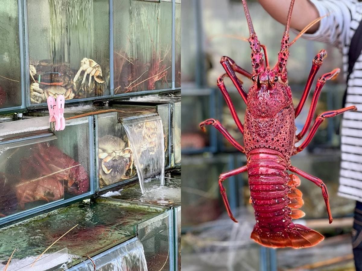 生魚片滿到爆出碗公！擺滿40片只要200元，再爽嗑現抓龍蝦、螃蟹