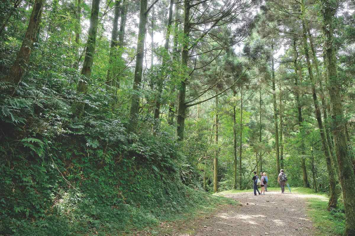 新北步道＋玩水祕境！「台版奧入瀨溪」清澈透心涼，終點加碼龜山島絕美海景