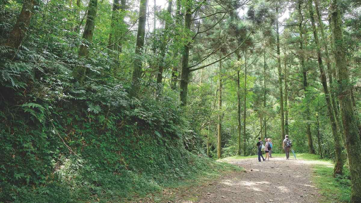 圖片來源：墨刻《出發台灣山林》