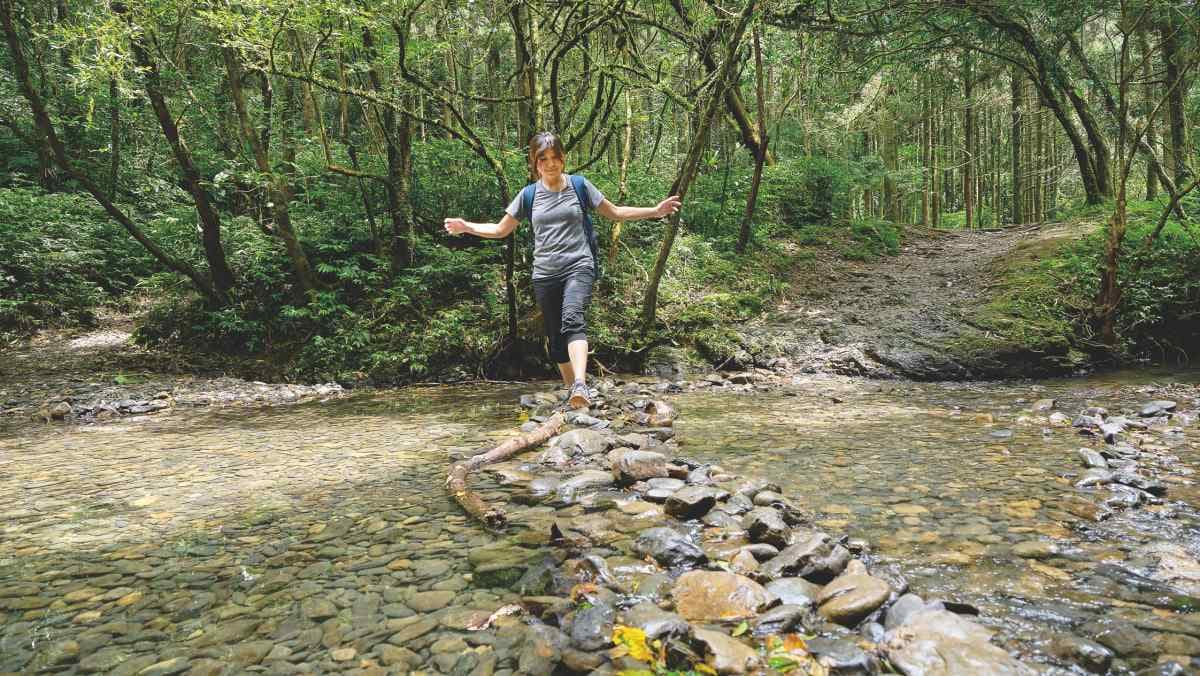 圖片來源：墨刻《出發台灣山林》