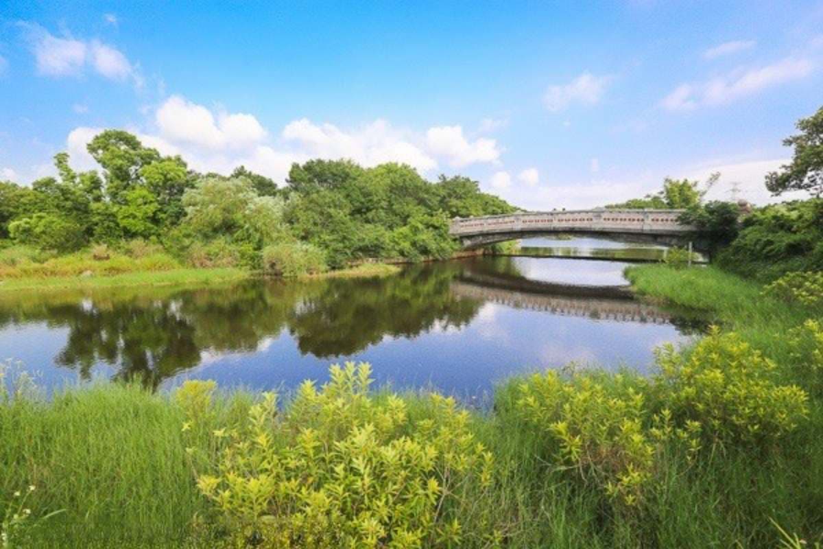 台中都會公園
