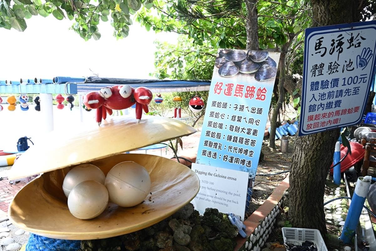 100元玩整天!「全台最大蜆主題館」嘗手掌大蛤仔,體驗水中盪鞦韆、划膠筏 100元玩整天!「全台最大蜆主題館」嘗手掌大蛤仔,體驗水中盪鞦韆、划膠筏