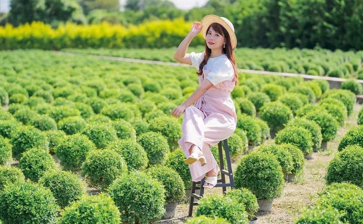50元刷爆IG美照!「台版波波草」睽違2年再開放,如掉進「抹茶冰淇淋球堆」 50元刷爆IG美照!「台版波波草」睽違2年再開放,如掉進「抹茶冰淇淋球堆」