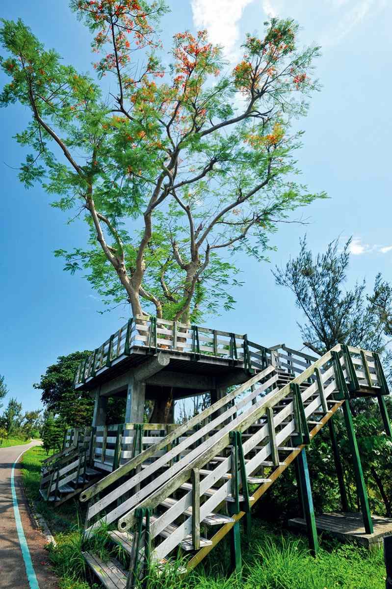 芬多精吸滿!全台5處避暑森林系景點:龍貓隧道、夢幻藍湖水、小太魯閣祕境 芬多精吸滿!全台5處避暑森林系景點:龍貓隧道、夢幻藍湖水、小太魯閣祕境
