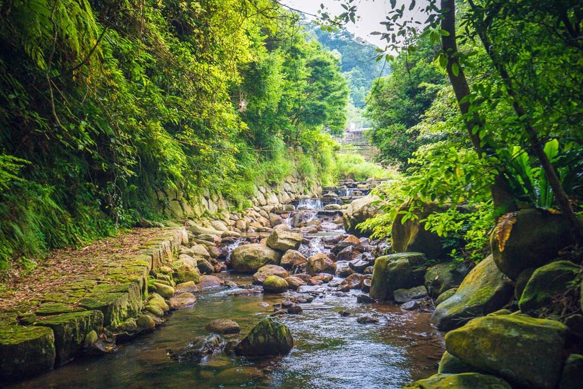 陽明山玩水祕境!「玻璃屋餐廳」前方就是戲水區,現烤桶仔雞預約排到9月 陽明山玩水祕境!「玻璃屋餐廳」前方就是戲水區,現烤桶仔雞預約排到9月