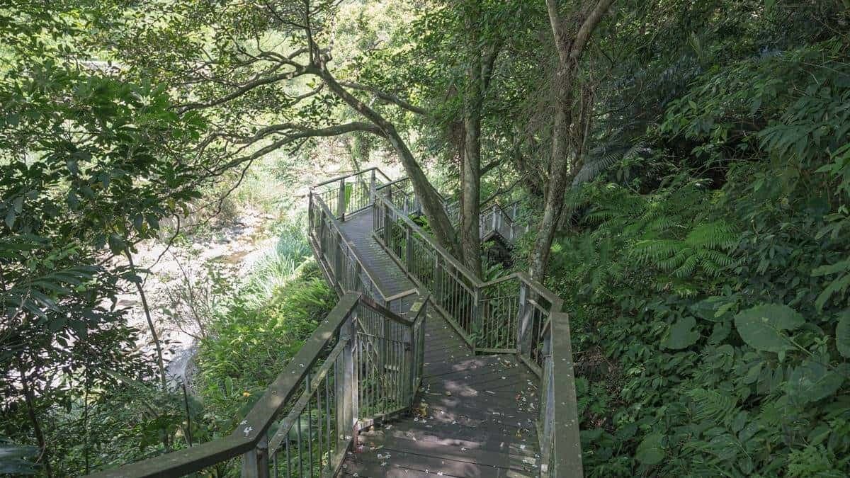 步道全程不長，大人行走約20分鐘左右就可以走完。（圖片來源：焦糖熱一點）