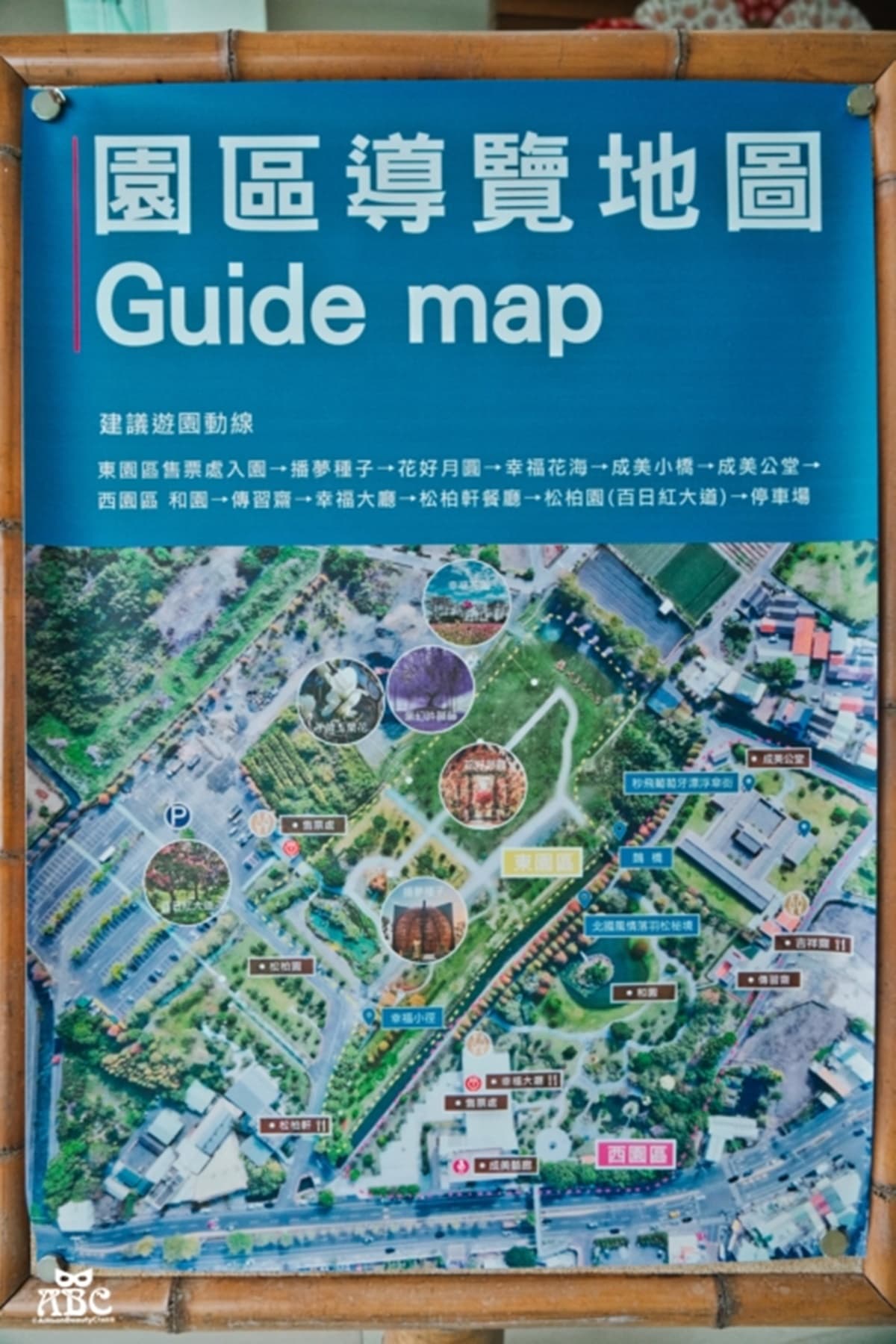 仙氣爆棚！「台版兼六園」推浪漫紫薇花季，IG搶拍歐風花園、繽紛漂浮傘街