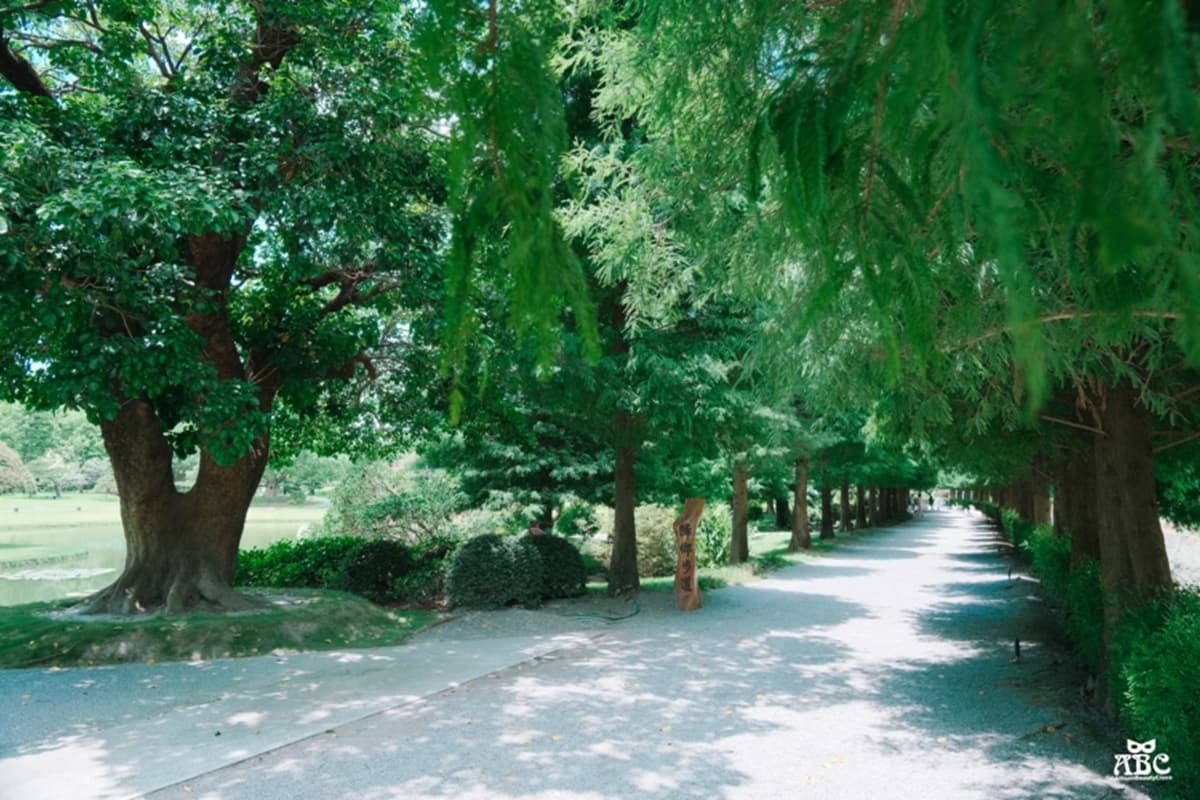仙氣爆棚！「台版兼六園」推浪漫紫薇花季，IG搶拍歐風花園、繽紛漂浮傘街