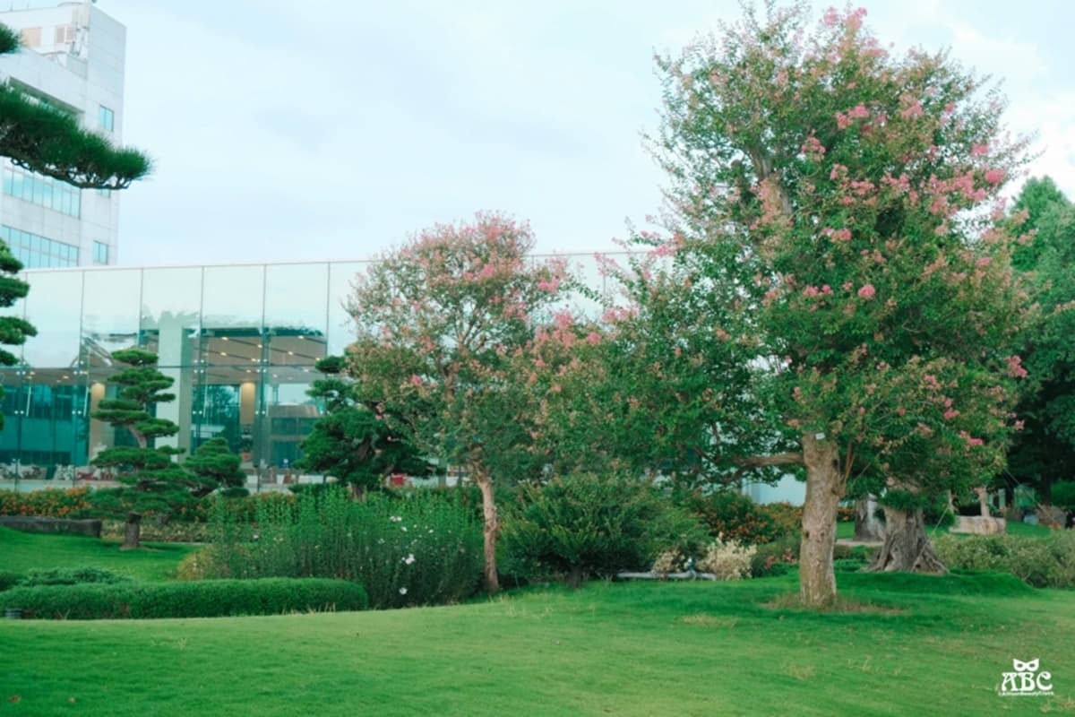 仙氣爆棚！「台版兼六園」推浪漫紫薇花季，IG搶拍歐風花園、繽紛漂浮傘街