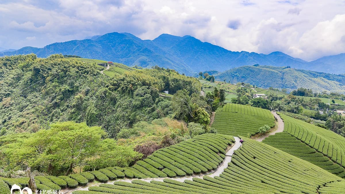 這裡更曾是《御茶園》的廣告拍攝場景。（圖片來源：卡夫卡愛旅行）