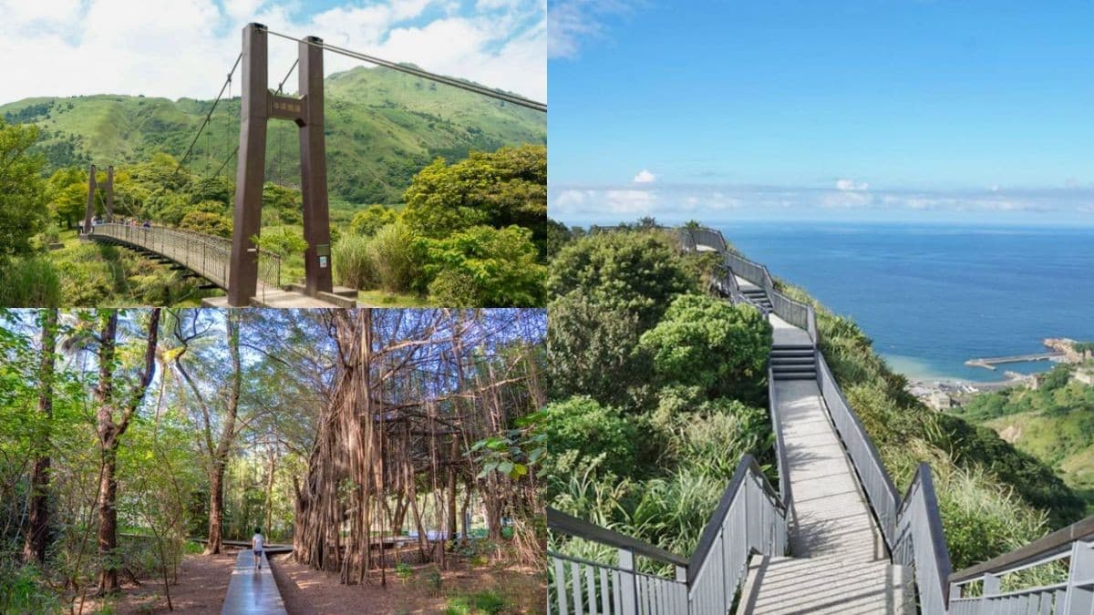 好走不累！全台17條美景親子步道：森林祕境、無敵海景、清涼瀑布全收錄