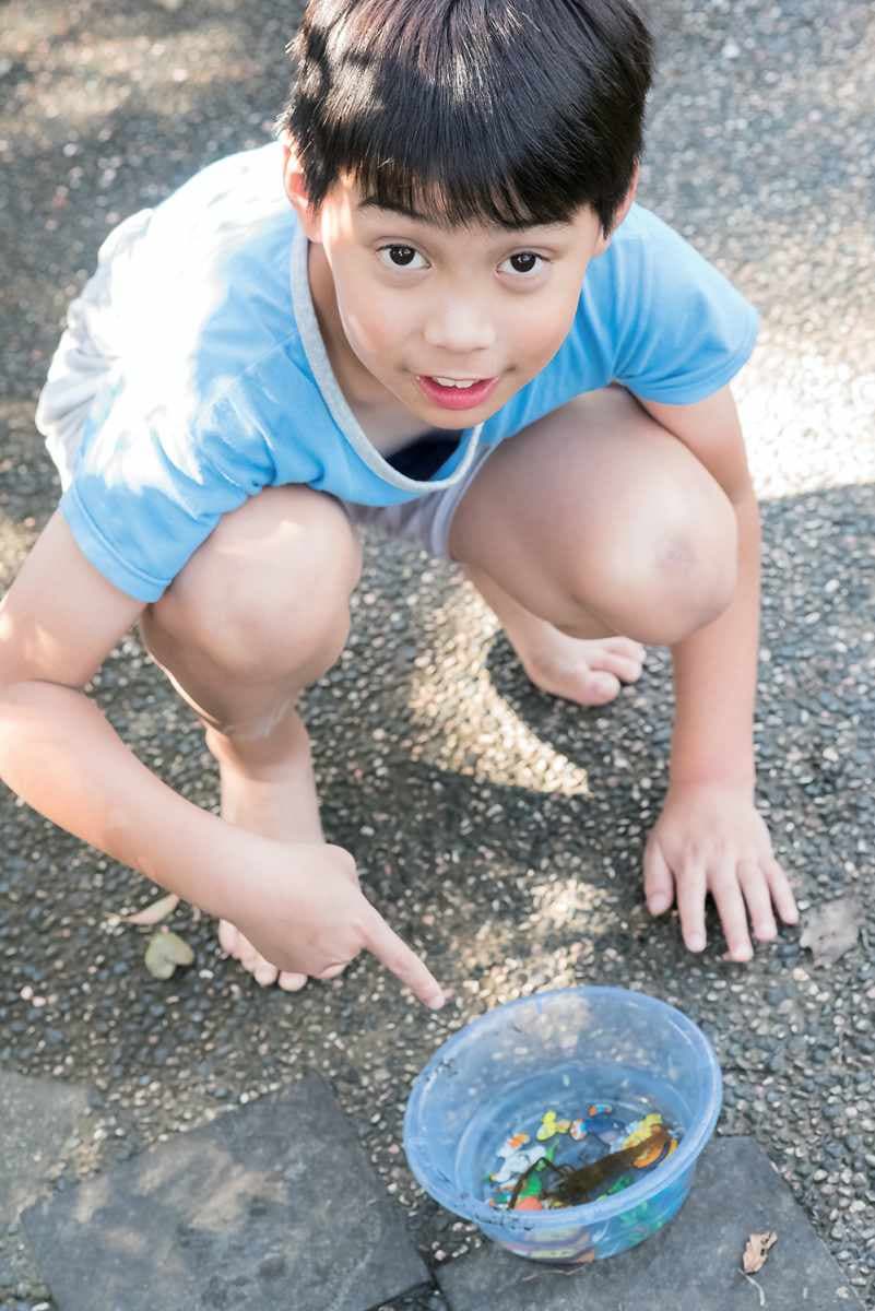 水上鞦韆玩過嗎？宜蘭「綠色祕境」抓魚撈蝦樂，最熱門人氣鞦韆來晚得排隊