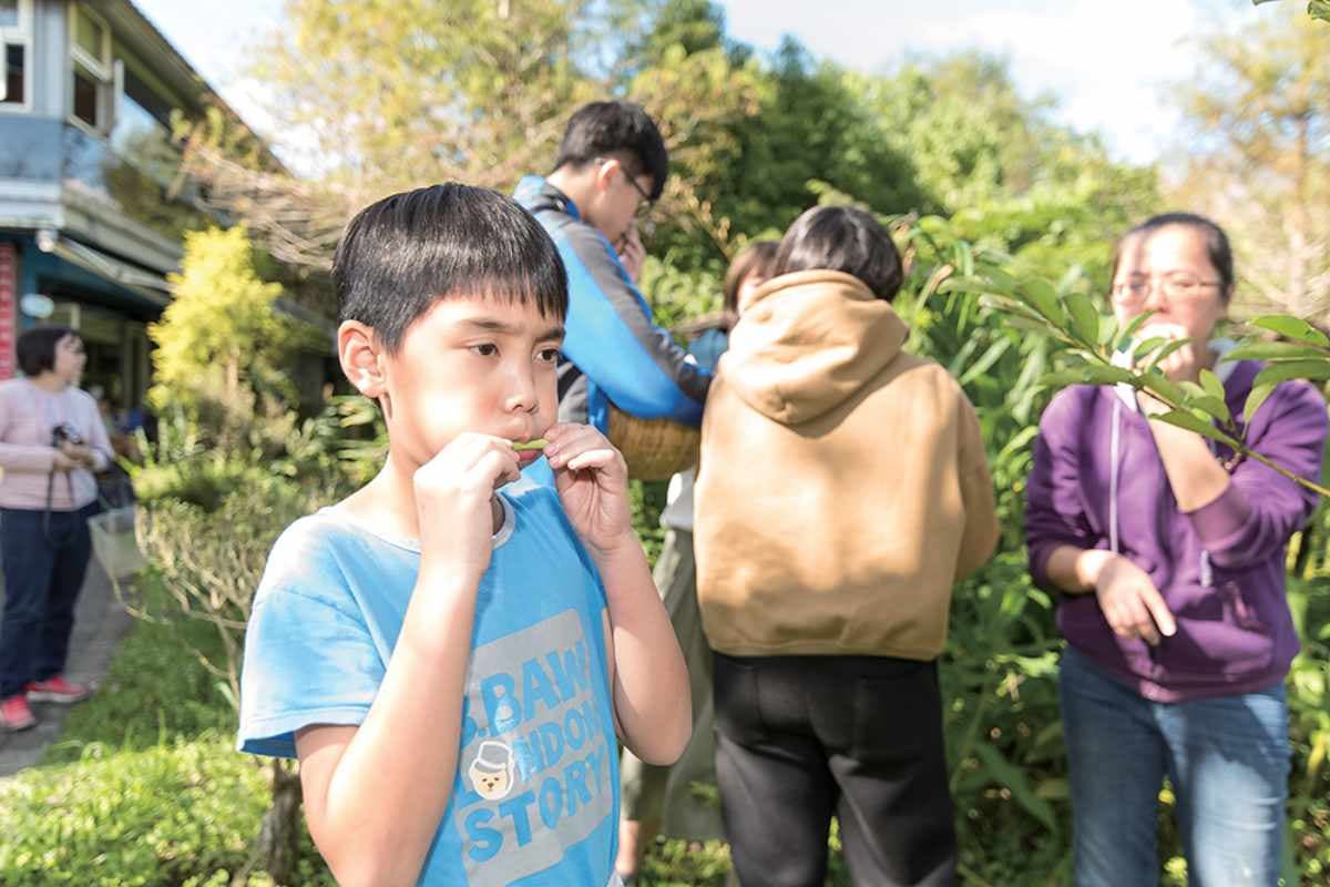 水上鞦韆玩過嗎？宜蘭「綠色祕境」抓魚撈蝦樂，最熱門人氣鞦韆來晚得排隊