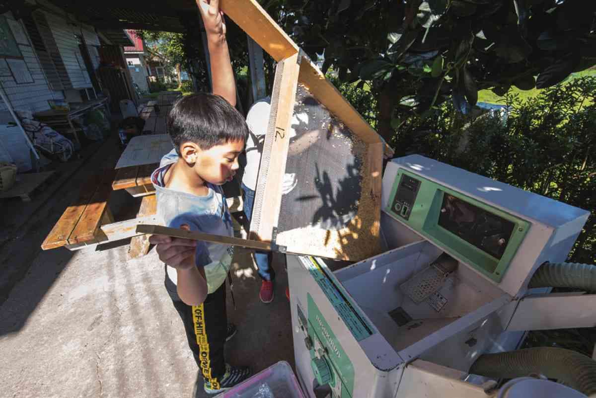 入住就玩翻！宜蘭民宿「溜滑梯＋湯屋」搬進房，「餵魚喝奶」試過都喊再１次