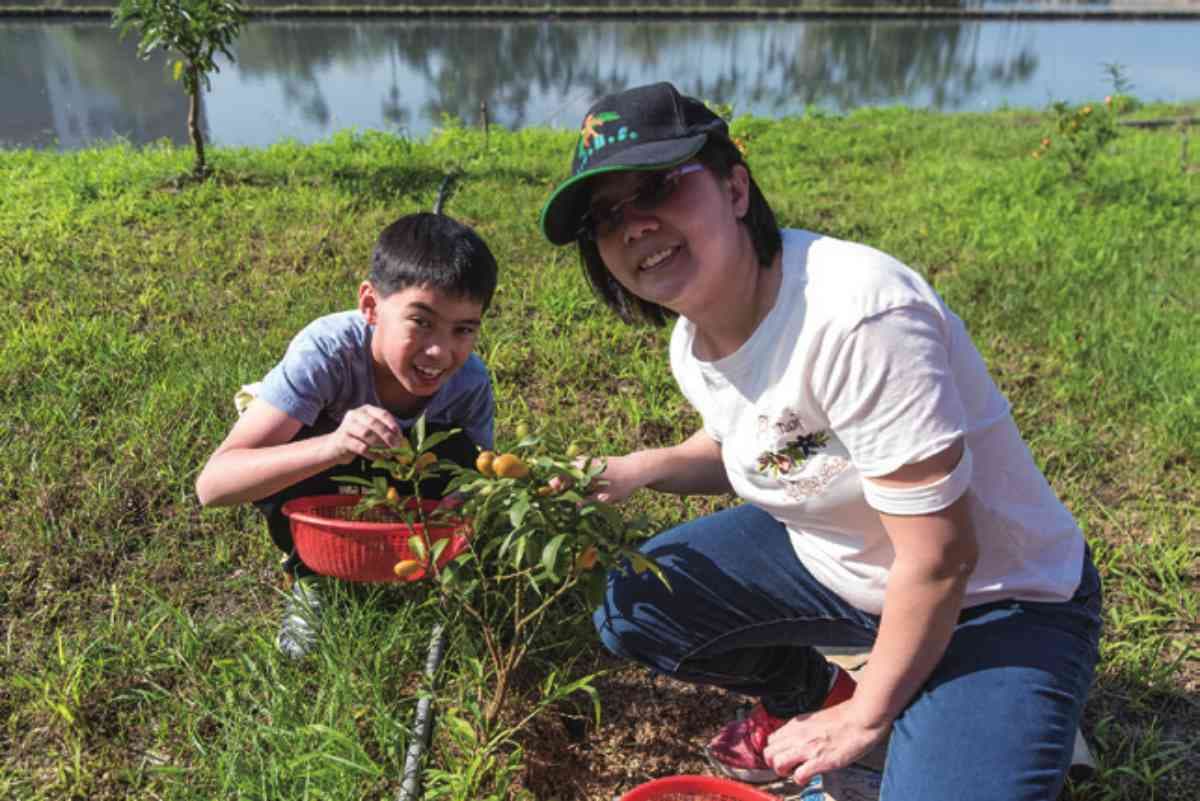 入住就玩翻！宜蘭民宿「溜滑梯＋湯屋」搬進房，「餵魚喝奶」試過都喊再１次