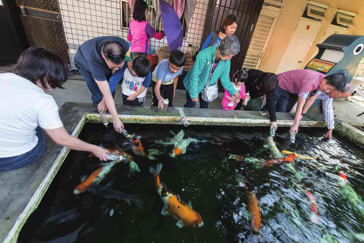 入住就玩翻！宜蘭民宿「溜滑梯＋湯屋」搬進房，「餵魚喝奶」試過都喊再１次