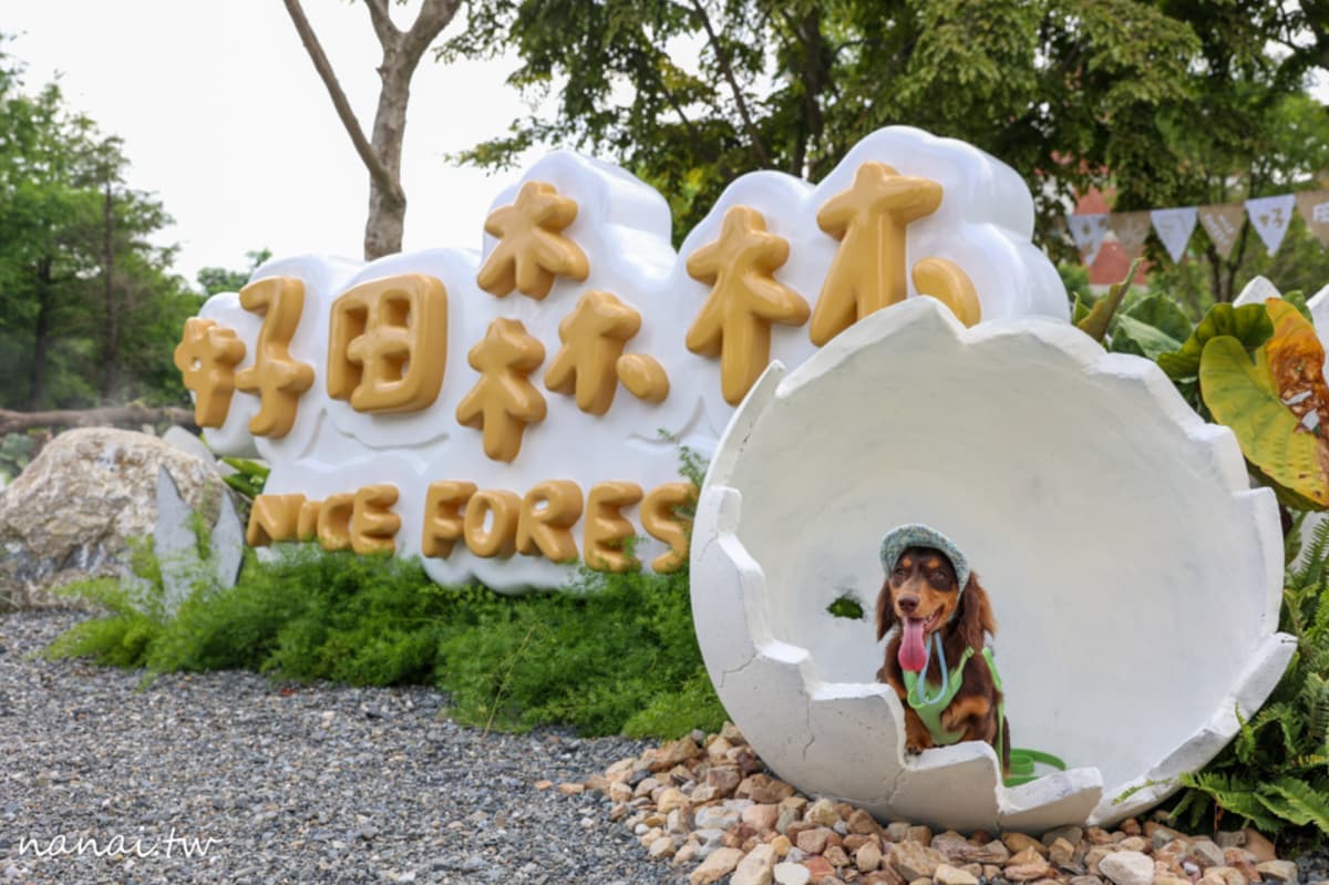 IG夯爆!彰化「恐龍樂園」爽玩滑草、空中卡丁車,再拍巨型恐龍蛋、南洋沙灘 IG夯爆!彰化「恐龍樂園」爽玩滑草、空中卡丁車,再拍巨型恐龍蛋、南洋沙灘