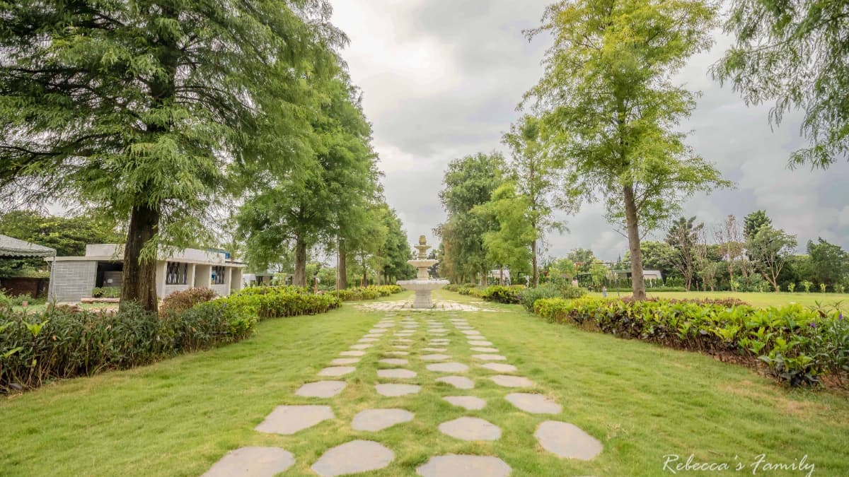 高大的落羽松林矗立在中央噴水池兩側，彷彿置身歐洲莊園。（圖片來源：瑞貝卡一家）