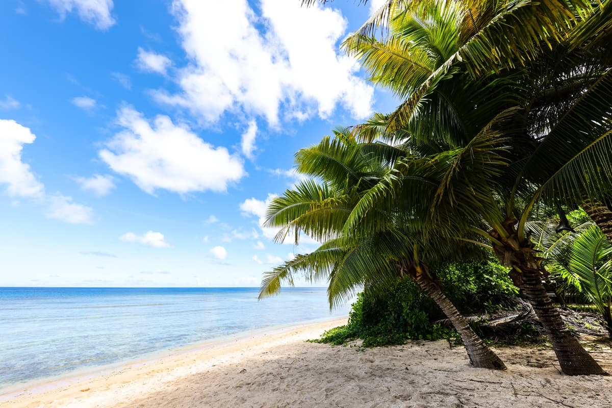 入境免隔離、PCR！免簽證3.5小時衝「關島度假天堂」，必訪魚眼公園、水晶教堂