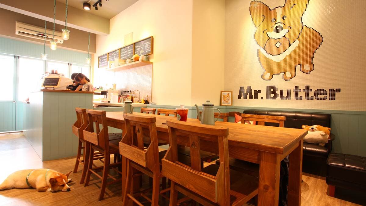 店內裝潢也是以柯基作為主題。（圖片提供：奶油先生Mr. Butter Café）