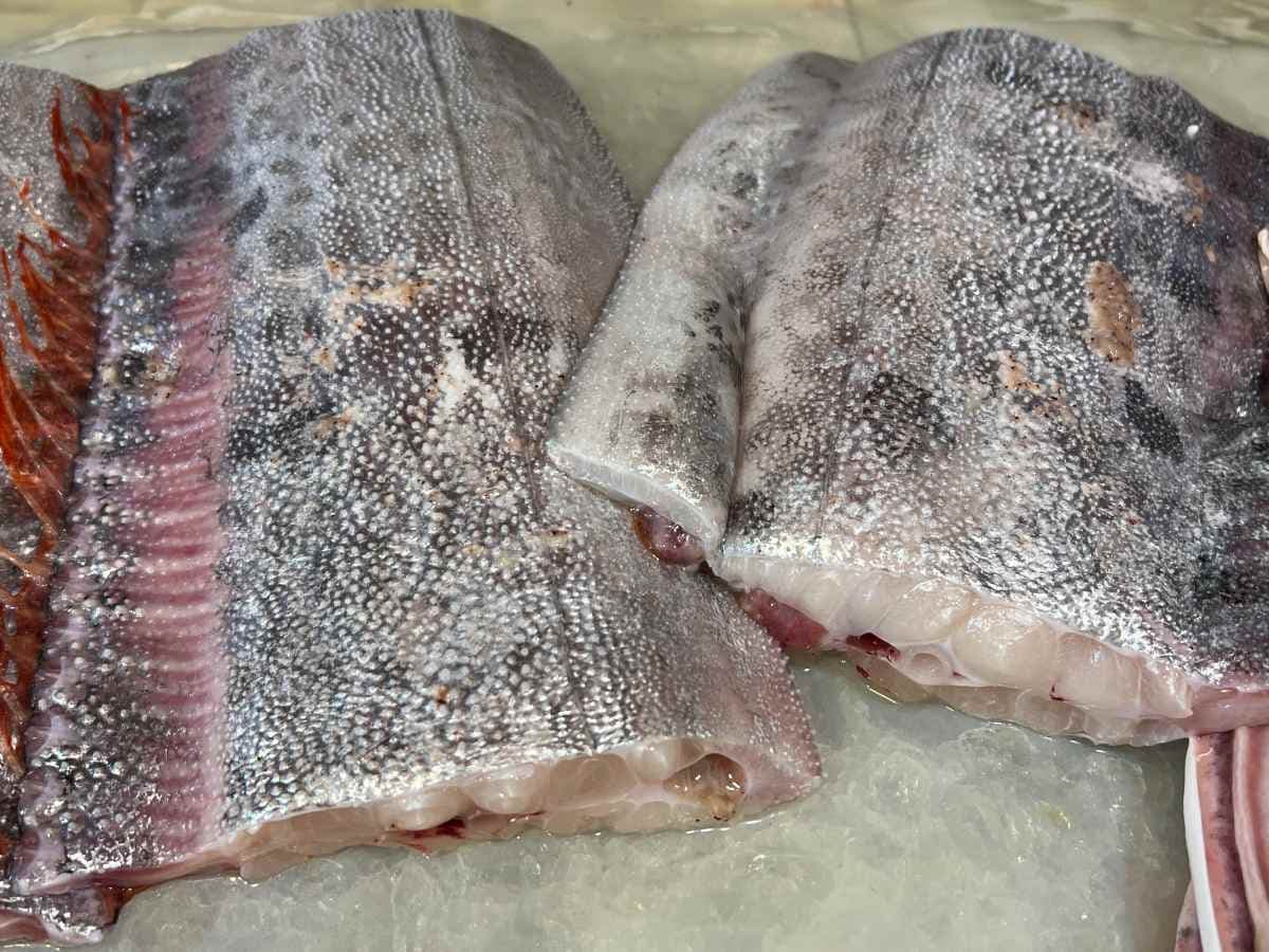 「地震魚」頻現身！地震魚可以吃嗎？資深老饕嘗鮮後「神奇口感」曝光