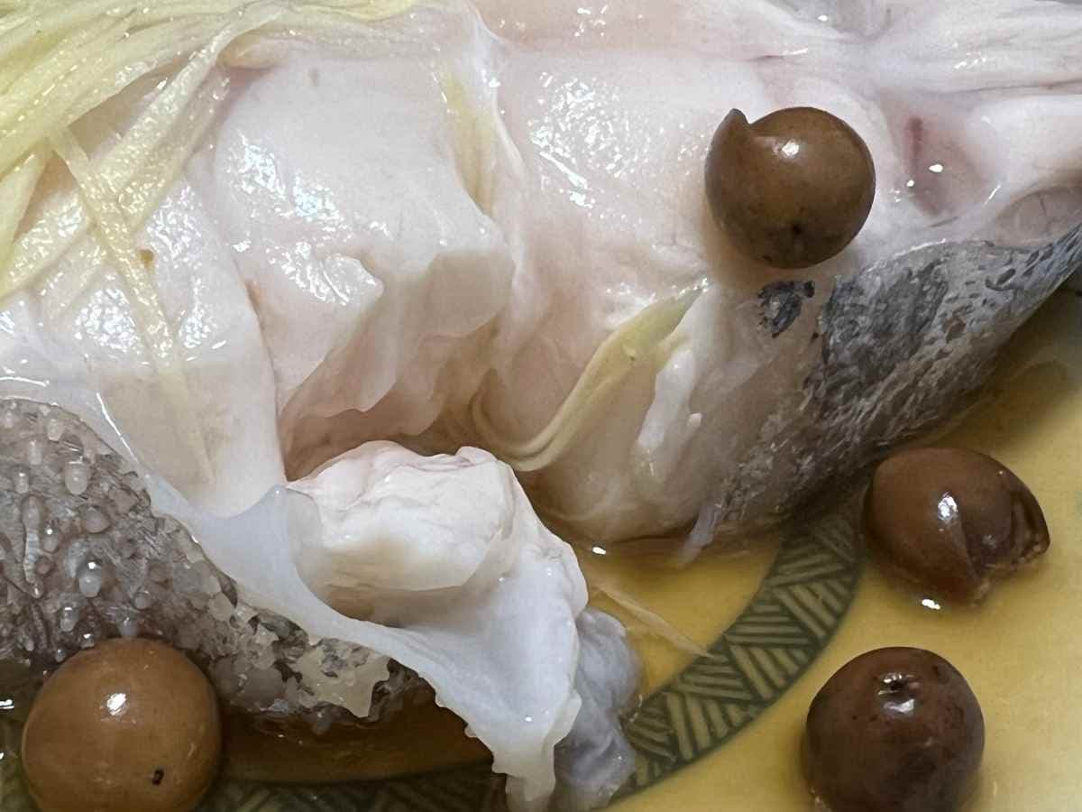「地震魚」頻現身！地震魚可以吃嗎？資深老饕嘗鮮後「神奇口感」曝光