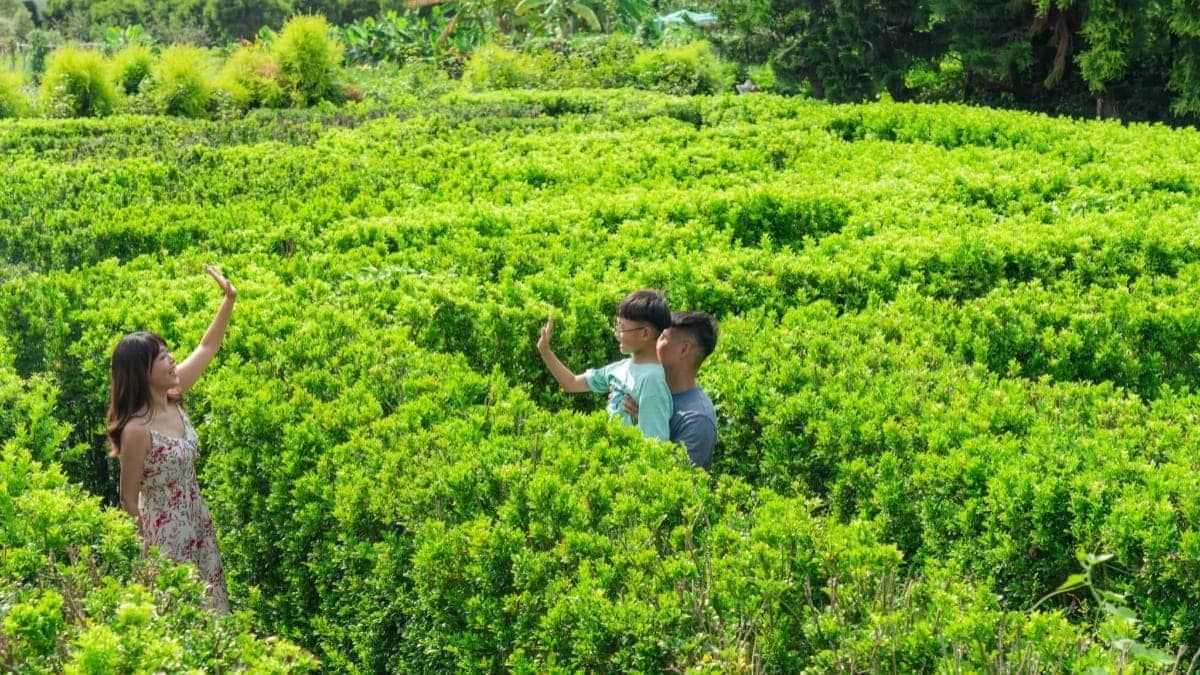 戶外的叢林迷宮用來溜小孩絕對適合。（圖片來源：我不是黃臉婆，我是韓國黃太太。）